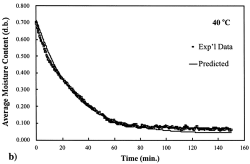 Figure 3.  Isothermal drying of 0.6 porosity bread sample at 40°C: (a) semi‐logarithm plot of unaccomplished moisture content vs. time; (b) moisture loss vs. time.