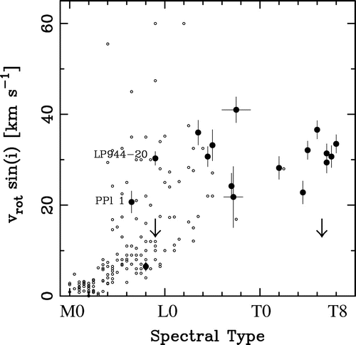 Figure 2. Figure from [Citation15]. Keck NIRSPEC measurements of v sin i for 19 M to T objects show that T-type objects are generally faster rotators than M-type objects and set a maximum rotation period of 12.5 h for the sample.