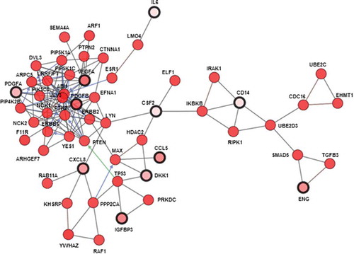 Figure 4. Protein–Protein Interaction Network (Interactome) analysis on the top ten candidate secreted factors from macrophages in crosstalk with TNBC cells from TCGA. The seed proteins are shown as pink circles with a black margin; the associated proteins in the network are in red.