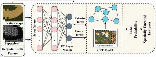 Figure 5. Representation of structural learning.