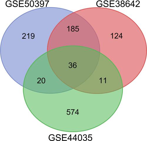 Figure 1 Venn diagram of DEGs common to all three GEO datasets (GSE50397, GSE38642 and GSE44035).