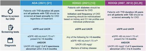 Figure 2. Guideline recommendations for the assessment of UACR and eGFR. a Calculated from serum creatinine (CKD-EPI); b With random spot urine sample; c Early morning urine sample is preferred.