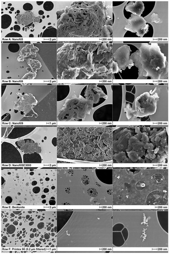 Figure 1. SEM of nanomaterials suspended in cell media: (a) Nanofil5, (b) Nanofil8, (c) Nanofil9, (d) NanofilSE3000, (e) Bentonite, (f) carbon black. For graphical reasons, light and contrast of Bentonite images (middle and right-row e) were enhanced, and carbon black was 0.2 µm filtered (See supplement for original version – Figure S3).