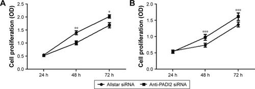 Figure 4 Proliferation of MNK-45 cells and Bel-7402 cells treated with anti-PADI2 siRNA.