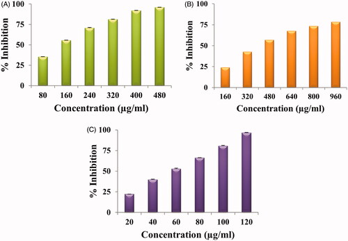 Figure 7. Antioxidant activity of AuNPs: DPPH free radical scavenging activity (A), superoxide anion-free radical scavenging activity (B), ABTS radical cation scavenging activity (C).