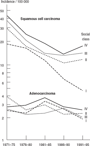 Figure 1. Age adjusted incidence of adenocarcinoma and squamous cell carcinoma of cervix uteri by socioeconomic status (SES) among Finnish women aged 45–64 at the beginning of each 5-year period between 1971 and 1995.