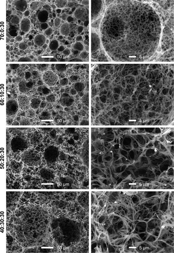 Figure 5 The SEM images of PLLA/PLGA/PCL composite scaffolds with the PLGA content from 0 to 30% after in vitro degradation for 8 weeks.Abbreviations: PCL, poly(ε-caprolactone); PLGA, poly(lactic-co-glycolic acid); PLLA, poly(l-lactic acid); SEM, scanning electron microscope.