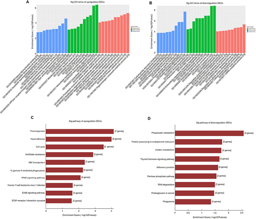 Figure 3 GO and pathway analysis of DECs in BAT and WAT. GO analysis of upregulated (A) and downregulated (B) DECs in BAT and WAT. Pathway analysis of upregulated (C) and downregulated (D) DECs in BAT and WAT.