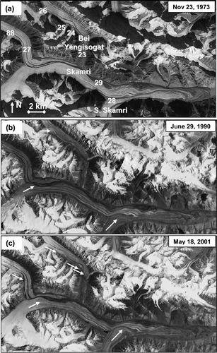 FIGURE 3 Temporal sequence of glacier surges in Skamri Basin, 1973–2001. Numbers refer to descriptions in Table 1; satellite image details provided in Table 2. Arrows in (b) and (c) indicate significant changes since the previous image.
