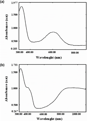 Figure 5. UV–vis spectra of undoped poly (N-hexadecylaniline) (a) and DBSA-doped poly (N-hexadecylaniline) (b) in THF solution.