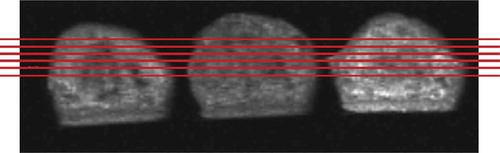 Figure 2. Sagittal MR images of cakes (TR = 1000, TE = 12 ms) showing slice positions of coronal images. Slice 1 to 5 descending from top to middle.