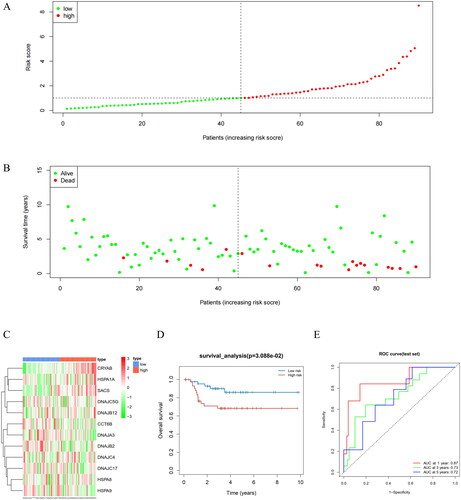 Figure 4. Performance evaluation and validation of the prognostic model in the GEO validation set. (A) Distribution of Riskscore in high/low-risk group patients in the GEO validation set. The high-risk group is indicated on the right of the dotted line and the low-risk group on the left of the dotted line. (B) Distribution of survival status in high/low-risk group patients in the GEO validation set. The dashed line on the right represents the high-risk group, while the dashed line on the left represents the low-risk group. Each data point represents an individual patient. The red dots indicate patients who experienced death at the corresponding time point, while the green dots represent patients who were still alive at the corresponding time point. (C) Heatmap illustrating the expression levels of prognostic genes in high/low-risk groups of patients in the GEO validation set. The red line represents gene expression up-regulation, while the green line represents gene expression down-regulation. (D) Survival curve analysis of high/low-risk group patients in the GEO validation set. (E) ROC curves demonstrating the accuracy of the model in predicting 1-year, 3-year, and 5-year survival in CRC patients. The X-axis represents the specificity of the model, while the Y-axis represents the sensitivity of the model. The larger the AUC, the higher the sensitivity and specificity of the model. Therefore, a larger AUC value indicates a higher level of sensitivity and specificity in the model.