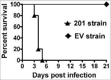 Figure 3. Survival analysis of the Chinese-origin rhesus macaques after intravenous infection with approximately 1010 CFU of the Y. pestis Microtus 201 and the vaccine EV.