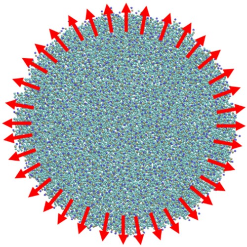Figure 8. (colour online) Snapshot of a CG bilayer in the disk configuration. Red arrows show the force acting on the pull groups. The disk contains 2400 CG lipids and the disk is 30 nm in diameter.