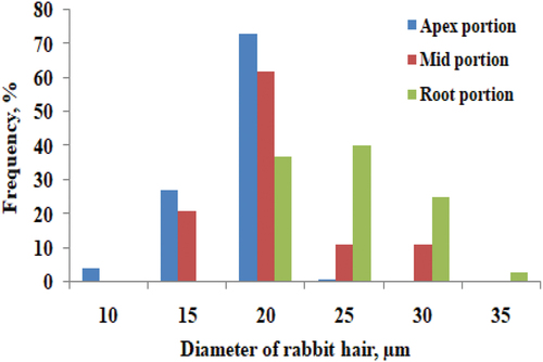 Figure 4. Diameter distribution at the root, middle and apex portion of fiber.