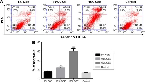 Figure 4 Effect of CSE on NR8383 cell apoptosis.Notes: (A) Dot plots and (B) histogram of NR8383 cells exposed to CSE at 5%, 10%, 15% and 0% for 24 hours before being harvested for apoptosis test. The detection was repeated independently three times. Significantly different from the control group: *P<0.05, **P<0.01, ***P<0.001.Abbreviations: CSE, cigarette smoke extract; PI, propidium iodide; FITC, fluorescein isothiocyanate.