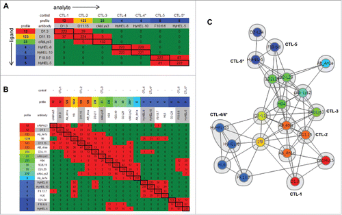 Figure 3. Assessing the collective epitope landscape of literature anti-HEL antibodies. Heat map derived from theoretical structure-based predictions using the Fv - Cα metric for cross-blocking of (A) 7 antibodies chosen as binning controls and (B) the set of 20 literature antibodies constituting the structural benchmark (see Table 2). The values report the number of Cα atoms in antibody i (row) within a distance of 2.5 Å of a Cα atom in antibody j (column) after structural superposition of the HEL coordinates in the respective co-crystal structures. Note that the matrix is not symmetric. One or more Cα - Cα contacts so-defined leads to a theoretical “blocking” prediction for the pair of antibodies (red cells) as opposed to a non-blocking interaction (green cells). When the controls are considered as an isolated subset (in panel A), they define 5 bins. Each antibody is assigned a “blocking profile,” as described in Fig. 2's caption. (C) Network blocking plot as an alternate graphical representation of the heat map shown in panel B, where bins are represented by envelopes (18 total), and control-based blocking profiles (11 total) are distinguished by color.