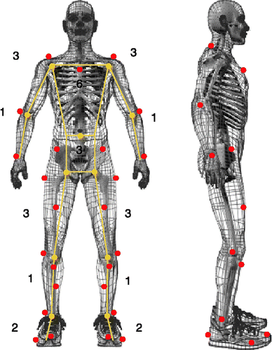 Figure 1 Marker set and skeleton model. Numbers indicate the number of DOF assigned to each of the body segments.