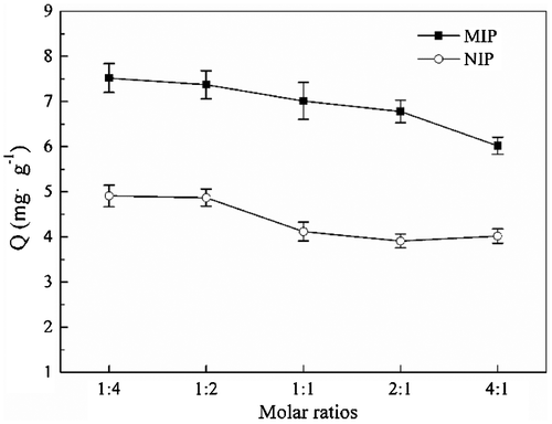 Figure 4. Adsorption capacity of MIP particles at different molar ratios of 4-VP/EDMA.