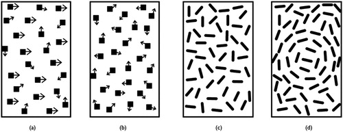 Figure 1. Schematic diagrams of the coherent motion (panels (a) and (b)) and coherent form (panels (c) and (d)) paradigms. For the coherent motion stimuli, the arrows represent the motion vector of each dot in the panel. Panel (a) depicts 50% coherence; half of the dots are moving together (in this case reversing left and right), whereas the rest of the dots are moving in random directions. Panel (b) depicts the random motion in the non-target RDK patch. Each dot moves in a random direction so the average coherence value is close to 0%. Panels (c) and (d) depict the coherent form task. In this measure subjects detect a circle which is comprised of coherently oriented line segments. The outline depicts the region within the panel that contained the coherent target. Threshold is defined as the percent coherent signal averaged over a number of staircase reversals for each stimulus type. See text for details (stimuli are not drawn to scale) (Sigmundsson et al., Citation2003).