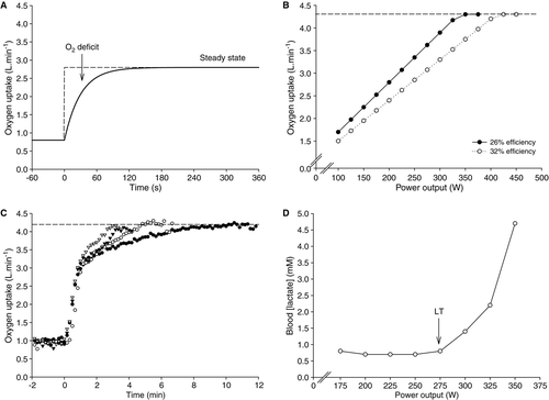 Figure 1.  Traditional concepts of the oxygen uptake and blood lactate responses to exercise. (A) schematic illustration of the response to cycle exercise performed at 200 W. At the onset of exercise, an oxygen deficit is incurred because the response lags the energy requirements of the task. A steady-state of ∼2.80 l · min−1 is achieved within 2–3 min. (B) Schematic illustration of the response to incremental exercise. Two responses are shown, each yielding the same maximal (). However, the mechanical efficiency of the two hypothetical individuals is different, leading to a different relationship between power output and . The individual with the higher mechanical efficiency achieves at a higher power output, meaning that they possess a greater scope (in terms of power output) for aerobic work. (C) Real responses to individual bouts of constant power output, high-intensity exercise in a single individual. This panel illustrates that the end-point is consistent when high-intensity exercise of a short duration (<15 min) is performed. (D) The blood lactate profile during an incremental cycling test. Note that blood lactate concentration remains at baseline concentrations until 275 W (the lactate threshold), but is elevated thereafter.