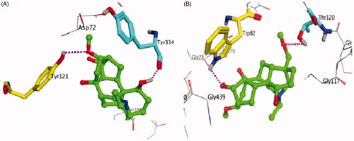 Figure 5. 3D binding mode of compound 1 as competitive inhibitor of AChE and BChE.