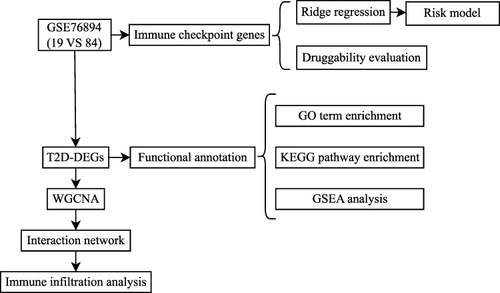 Figure 1 Flow diagram presenting the main plan and process of the study.