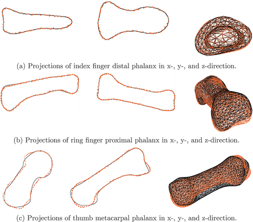 Figure 7. Black: reference synthetic X-ray/SSM mesh, orange: projection of fitted SSM.