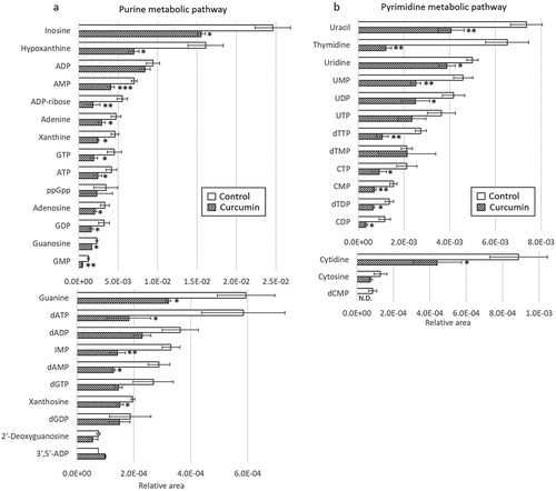 Figure 4. Effects of curcumin on metabolites in (a) purine metabolic pathway and (b) pyrimidine metabolic pathway in P. gingivalis. Corrected peak areas of amino acids detected in P. gingivalis incubated for 24 hours in liquid medium (white) and in liquid medium with 10 µg/mL curcumin (shaded) are shown.