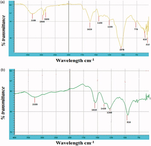 Figure 7. (a) FTIR spectra of Ficus ingens leaf extract (FILE). (b) FTIR Spectra of silver nanoparticles synthesized from Ficus ingens leaf extract (FILE-AgNPs).