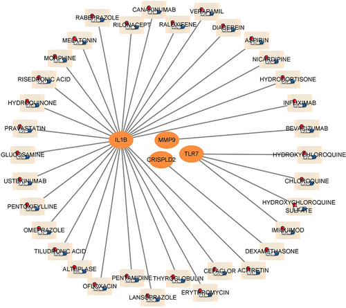 Figure 6 Prediction of DE-NRGs targeted drugs. Network diagram showing that the DGIdb database predicts DE-NRGs related drugs.