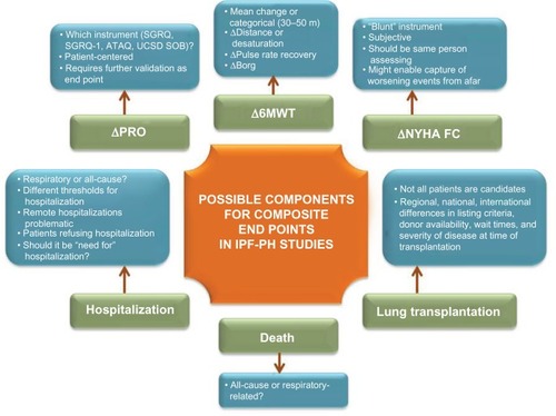 Figure 1 A summary of end points that may be used in IPF-PH clinical trials.