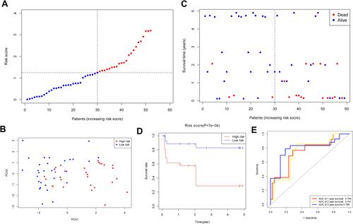 Figure 4 Validation of risk model in GEO cohort. (A) Distribution of HNSCC patients in GEO cohort based on risk score in TCGA cohort. (B) PCA plot for HNSCCs. (C) Survival status for each patient. (D) Kaplan–Meier curves for OS of patients in high- and low-risk groups. (E) The ROC curves demonstrated the predictive efficiency of the risk score.