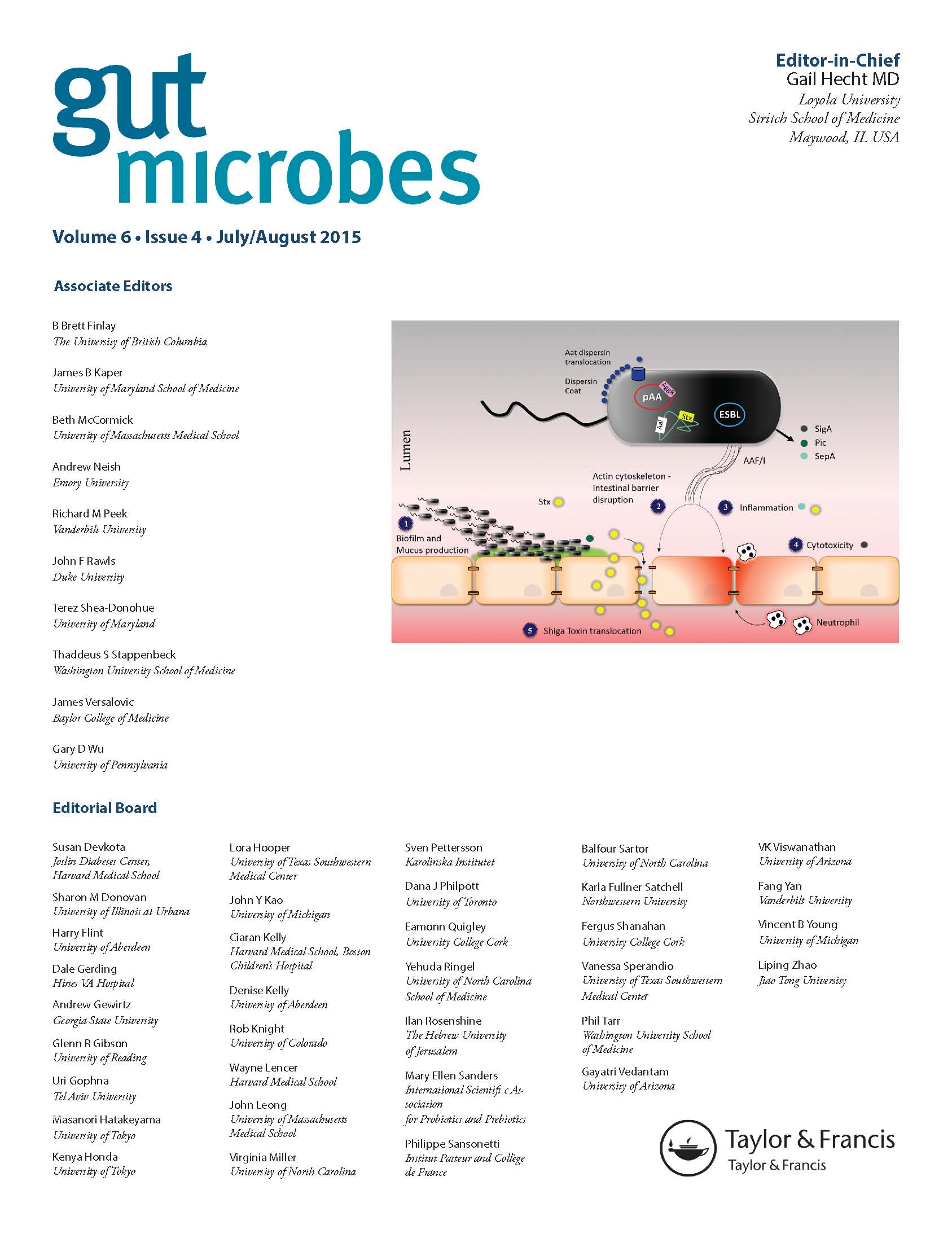 Cover image for Gut Microbes, Volume 12, Issue SI1, 2020