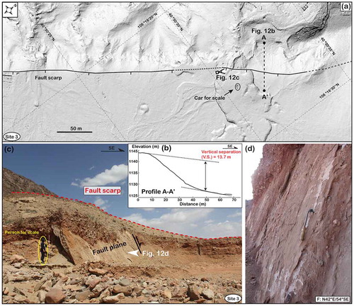 Figure 12. Scarp and fault outcrop at Site 3 in the southeastern segment. (a) DEM hillshade map generated from small unmanned aerial vehicles (sUAV)-acquired photos using structure-for-motion techniques. (b) DEM-based topographic profile revealing the scarp height of ~13.7 m. (c) Bedrock fault plane dipping to southeast observed in the field. Location is shown in Figures 1(c) and 2.