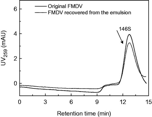 Figure 11. SE-HPLC chromatograms of original FMDV solution and FMDV in aqueous phase recovered from w/o nano-emulsion.