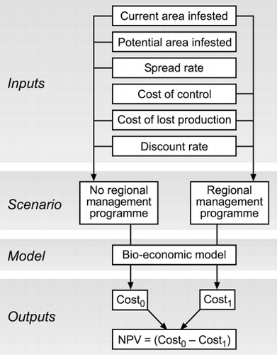 Figure 5 Diagrammatic representation of the method developed for conducting a cost-benefit analysis of a regional weed management programme proposed under a regional pest management plan.