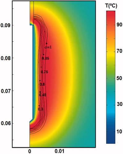 Figure 6. Temperature distributions after 12 min of RF ablation and previous application of EP pulses joint with the blood perfusion level (α) map.