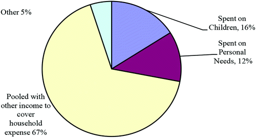 Figure 2: Classification of expenditure for the treatment group