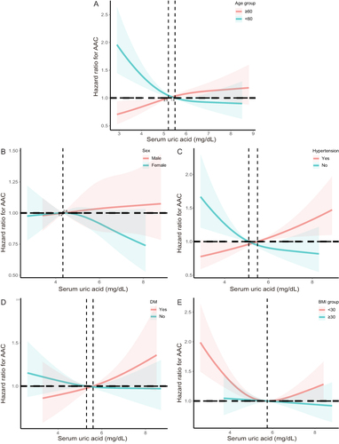 Figure 2 RCS curve for the association between sUA with the risk of AAC. (A) the association between sUA and AAC stratified by age; (B) the association between sUA and AAC stratified by sex; (C) the association between sUA and AAC stratified by hypertension; (D) the association between sUA and AAC stratified by DM; and (E) the association between SUA and AAC stratified by BMI.