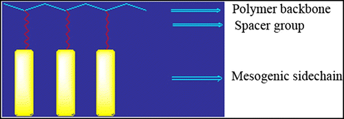 Figure 8 Typical repeating unit in a side chain LCP.