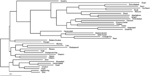 Figure 3. Phylogenetic analysis of the studied cultivars of P. vera based on nSSR polymorphisms using NJ method.