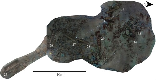 Figure 30. Orthophoto mosaic of the 2019 gun site. The guns are labelled 25–34. Scales are 1 m with 20 cm increments. Note the scatter of round shot west of guns 26–28 (surveys and mosaics produced by Daniel Pascoe).