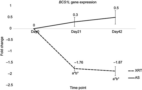 Figure 5 Differences in gene expression of BCS1L at day 21 and day 42 between patients undergoing radiation therapy (XRT, N=33) and active surveillance (AS, N=13).Notes: Left figure indicates the expression of BCS1L gene. Y-axis represents expression values assayed by monitoring in real-time polymerase chain reaction calculated as fold change. The expression of BCS1L was significant different between patients undergoing XRT and AS (P<0.05). Furthermore, BCS1L was significantly downregulated at day 21 (fold change=−1.76, P=0.03) and day 42 (fold change=−1.87, P=0.02) in XRT patients compared to day 0. aRefers to a significant difference compared to day 0 time point of the same group. bRefers to a significant difference compared to the AS group at the same time point. *P<0.05.Abbreviations: BCS1L, BC1 (ubiquinol-cytochrome c reductase) synthesis-like; XRT, external beam radiation therapy; AS, active surveillance.