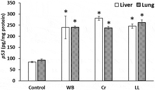 Figure 5. P53 levels (pg/mg protein) in the liver and lung of the control, WB, Cr and LL groups. The values represent the means ± S.D. (n = 5). *p < 0.05 versus control.