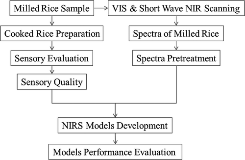 FIGURE 3 Flow diagram of NIR spectroscopy methodology.