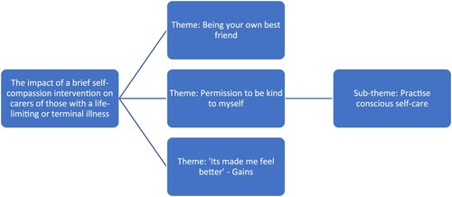 Figure 1 Themes and sub-themes.