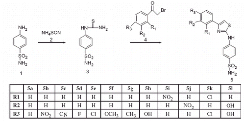Scheme 1. Synthesis of sulfonamide-bearing thiazole compounds.