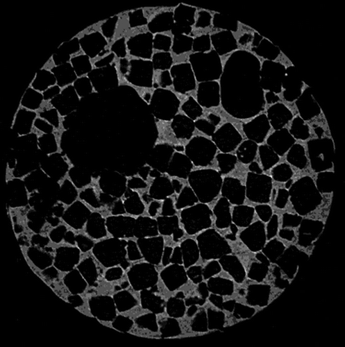 Figure 1.  MicroCT analysis of salt-leached, photopolymerized scaffold fabricated with Kerr dental lamp. The material was methacrylate end-capped poly(D,L-lactide), and camphorquinone has been used as photoinitiator.