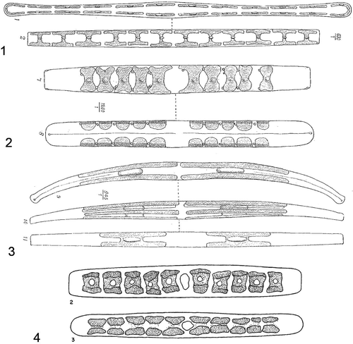 Figs 1–4. Drawings of Climaconeis plastids from the literature. Figs 1–3. Mereschkowsky's (Citation1901) Okedenia. Fig. 1. O. scopulorum. Fig. 2. O. scopulorum var. fasciculata. Fig. 3. O. inflexa. Fig. 4. Cox's (Citation1979) Navicula scopulorum B. [Fig. 4. reprinted with permission of the British Phycological Society.]